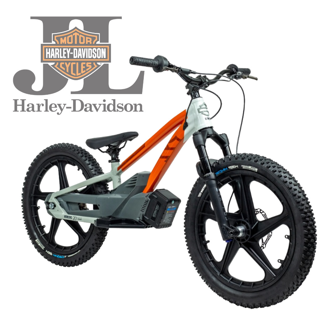 20eDRIVE PAN AMERICA LAUNCH EDITION e-BIKE